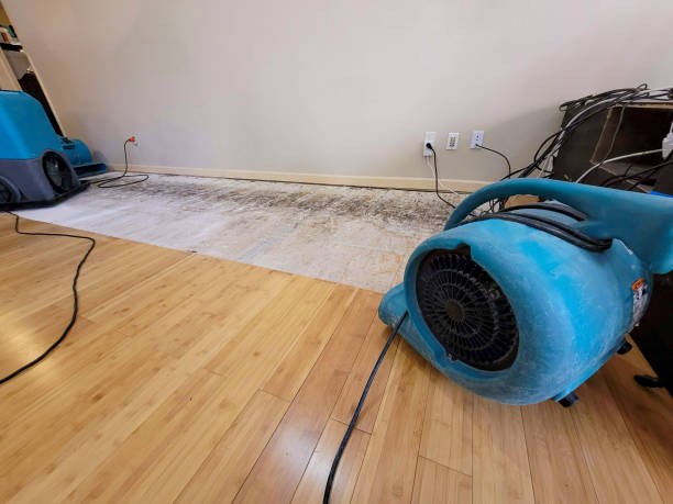 Professional Water Damage Repair technician working in Imperial, CA